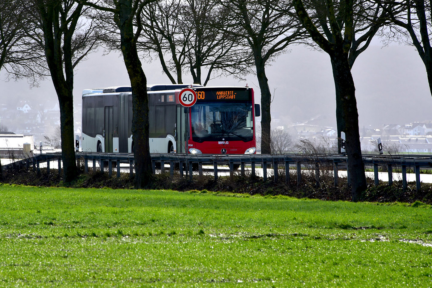 RLG Schnellbus